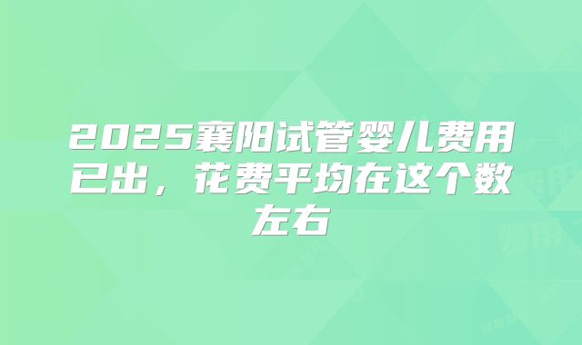2025襄阳试管婴儿费用已出，花费平均在这个数左右