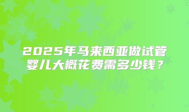 2025年马来西亚做试管婴儿大概花费需多少钱？