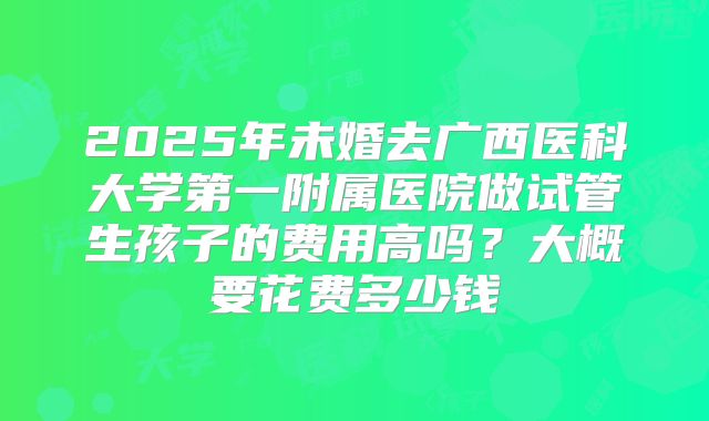 2025年未婚去广西医科大学第一附属医院做试管生孩子的费用高吗?大概要花费多少钱