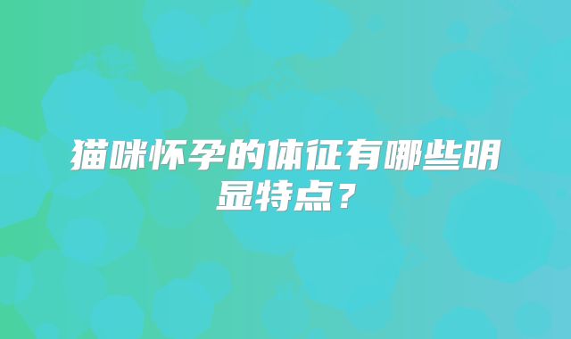 猫咪怀孕的体征有哪些明显特点？