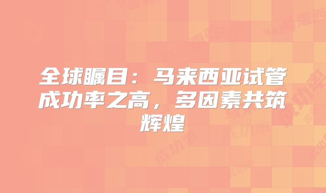 全球瞩目：马来西亚试管成功率之高，多因素共筑辉煌