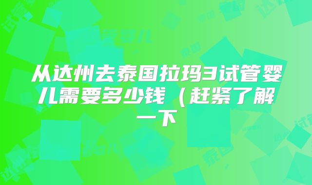 从达州去泰国拉玛3试管婴儿需要多少钱(赶紧了解一下