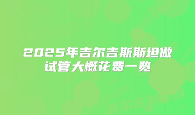 2025年吉尔吉斯斯坦做试管大概花费一览