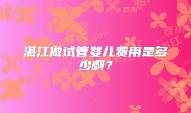 湛江做试管婴儿费用是多少啊？