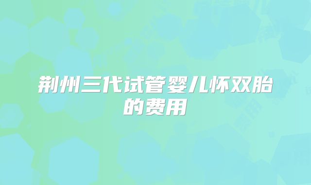 荆州三代试管婴儿怀双胎的费用