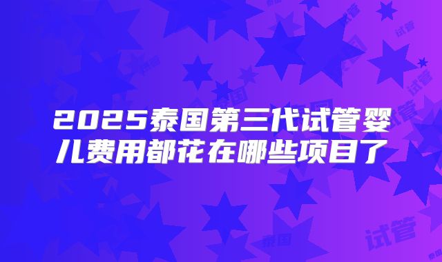 2025泰国第三代试管婴儿费用都花在哪些项目了