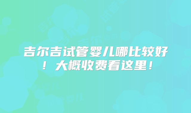 吉尔吉试管婴儿哪比较好!大概收费看这里!