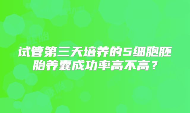 试管第三天培养的5细胞胚胎养囊成功率高不高？