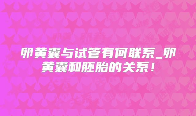 卵黄囊与试管有何联系_卵黄囊和胚胎的关系！