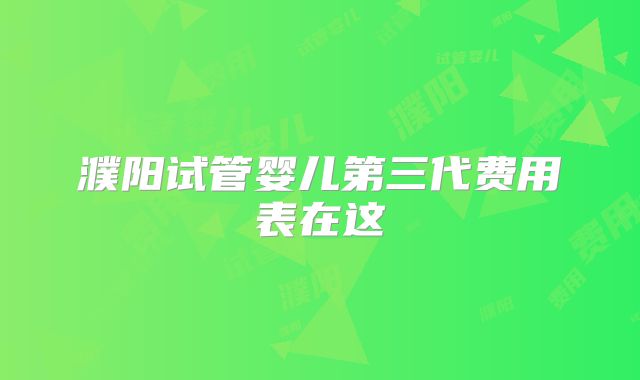濮阳试管婴儿第三代费用表在这
