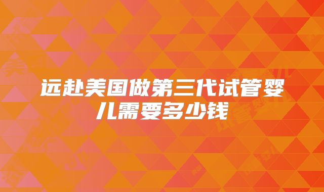 远赴美国做第三代试管婴儿需要多少钱