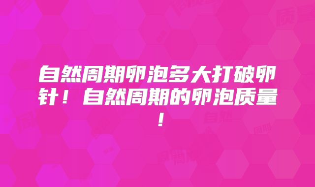 自然周期卵泡多大打破卵针！自然周期的卵泡质量！