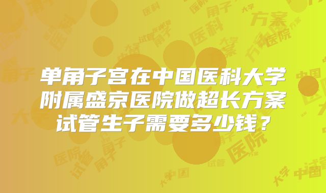 单角子宫在中国医科大学附属盛京医院做超长方案试管生子需要多少钱?
