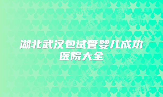 湖北武汉包试管婴儿成功医院大全