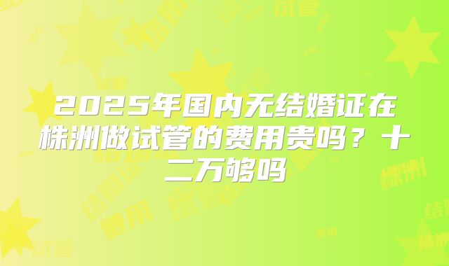 2025年国内无结婚证在株洲做试管的费用贵吗?十二万够吗