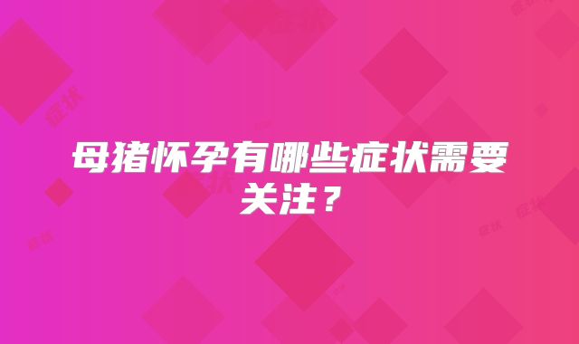 母猪怀孕有哪些症状需要关注?