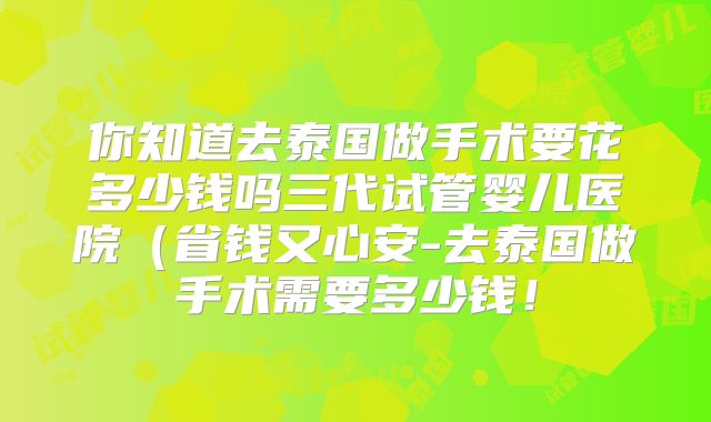 你知道去泰国做手术要花多少钱吗三代试管婴儿医院（省钱又心安-去泰国做手术需要多少钱！