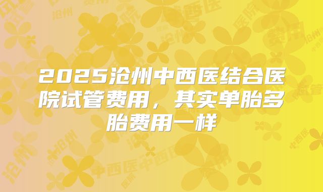 2025沧州中西医结合医院试管费用，其实单胎多胎费用一样