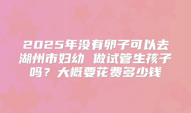 2025年没有卵子可以去湖州市妇幼 做试管生孩子吗?大概要花费多少钱