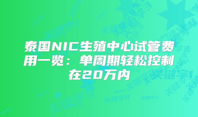 泰国NIC生殖中心试管费用一览：单周期轻松控制在20万内