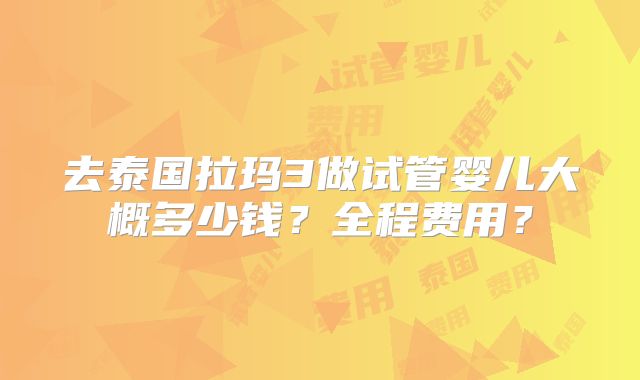 去泰国拉玛3做试管婴儿大概多少钱？全程费用？