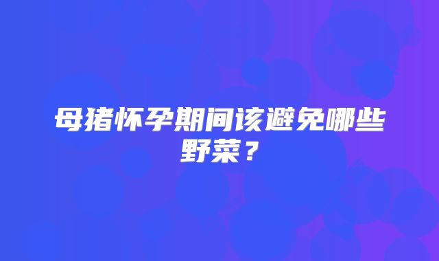母猪怀孕期间该避免哪些野菜?