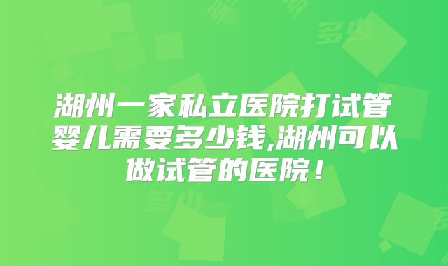 湖州一家私立医院打试管婴儿需要多少钱,湖州可以做试管的医院！