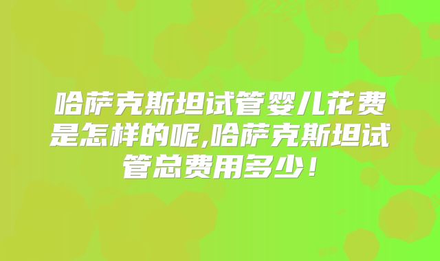 哈萨克斯坦试管婴儿花费是怎样的呢,哈萨克斯坦试管总费用多少!