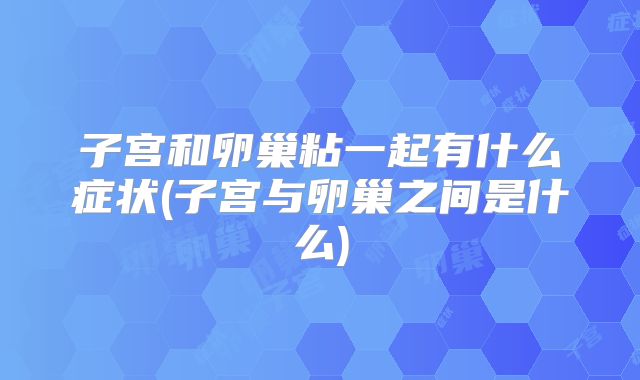 子宫和卵巢粘一起有什么症状(子宫与卵巢之间是什么)