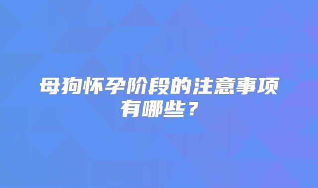 母狗怀孕阶段的注意事项有哪些？