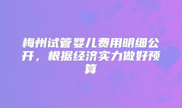 梅州试管婴儿费用明细公开，根据经济实力做好预算