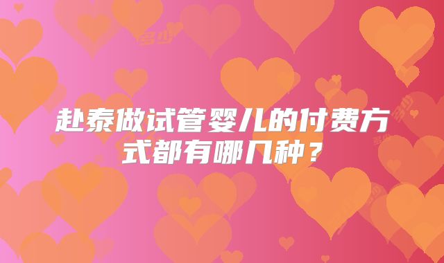 赴泰做试管婴儿的付费方式都有哪几种？