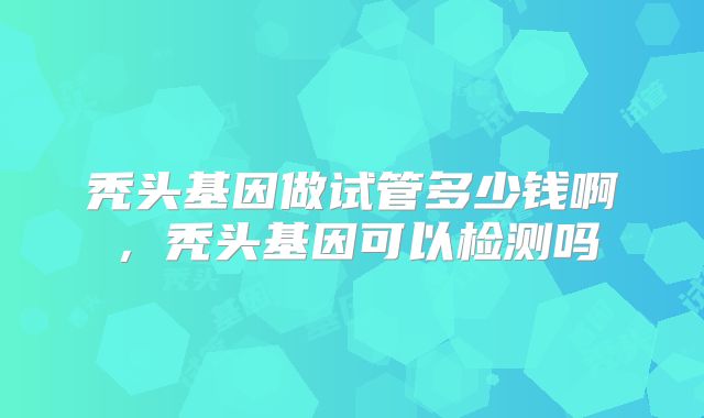 秃头基因做试管多少钱啊，秃头基因可以检测吗