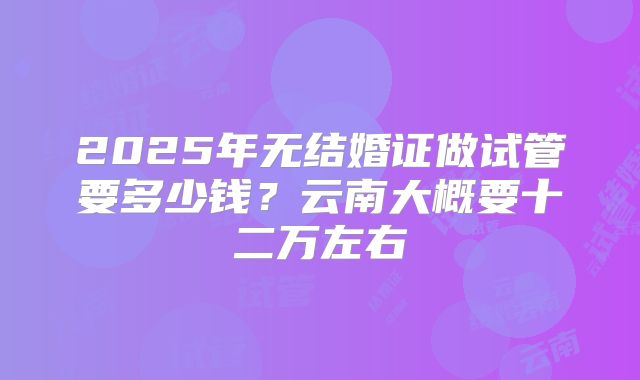 2025年无结婚证做试管要多少钱?云南大概要十二万左右
