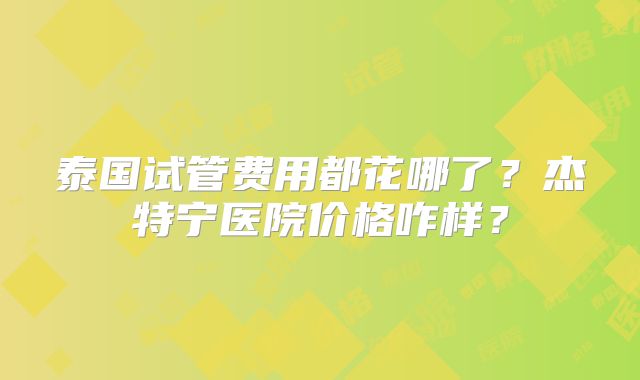 泰国试管费用都花哪了?杰特宁医院价格咋样?