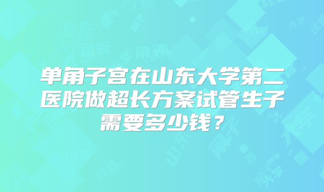 单角子宫在山东大学第二医院做超长方案试管生子需要多少钱？