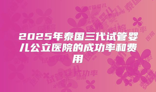 2025年泰国三代试管婴儿公立医院的成功率和费用