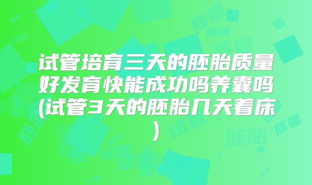 试管培育三天的胚胎质量好发育快能成功吗养囊吗(试管3天的胚胎几天着床)