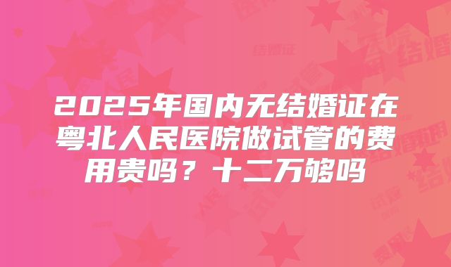 2025年国内无结婚证在粤北人民医院做试管的费用贵吗？十二万够吗