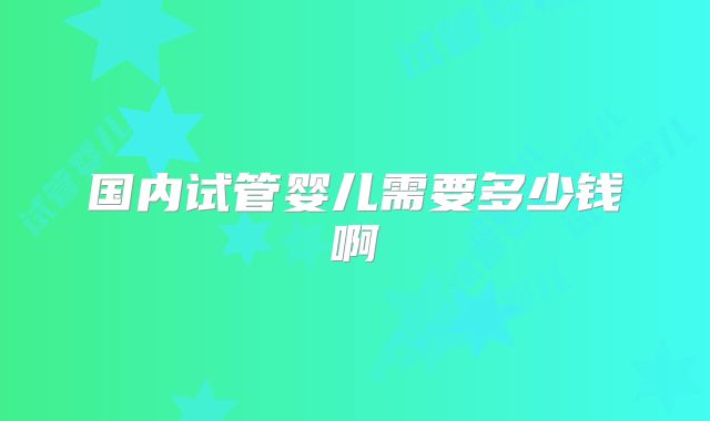 国内试管婴儿需要多少钱啊