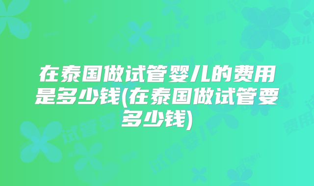 在泰国做试管婴儿的费用是多少钱(在泰国做试管要多少钱)