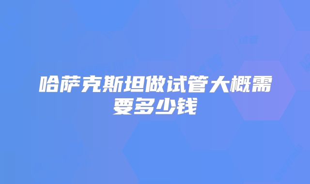 哈萨克斯坦做试管大概需要多少钱