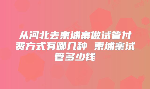 从河北去柬埔寨做试管付费方式有哪几种 柬埔寨试管多少钱