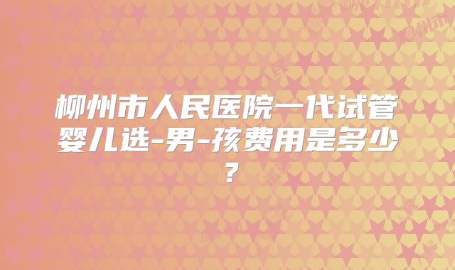 柳州市人民医院一代试管婴儿选-男-孩费用是多少？