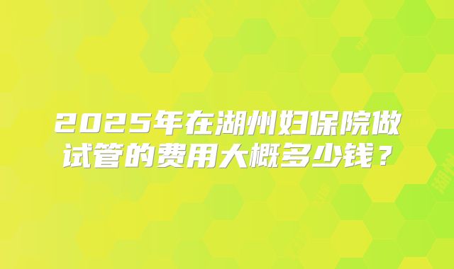 2025年在湖州妇保院做试管的费用大概多少钱?