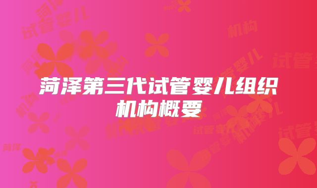 菏泽第三代试管婴儿组织机构概要