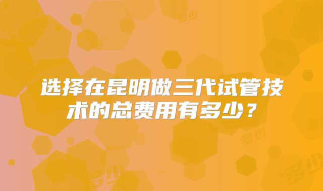 选择在昆明做三代试管技术的总费用有多少？