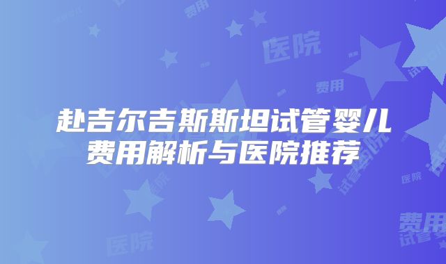 赴吉尔吉斯斯坦试管婴儿费用解析与医院推荐