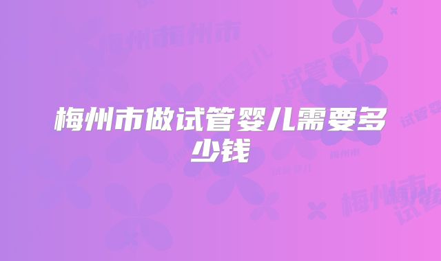 梅州市做试管婴儿需要多少钱