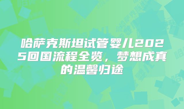 哈萨克斯坦试管婴儿2025回国流程全览，梦想成真的温馨归途